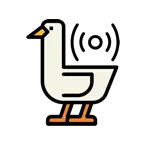 Radiogoose