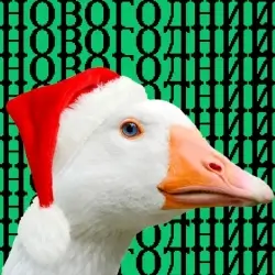 Новогодний (Радио Гусь)